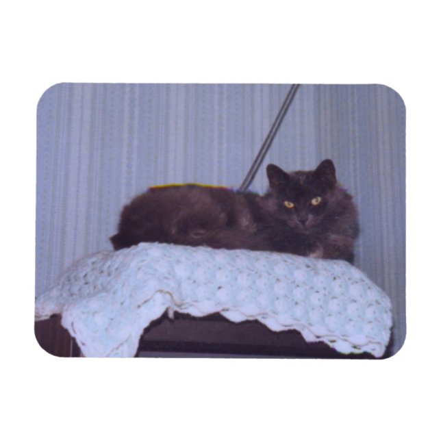 Coola Nebelung Magnet (Horisontell)