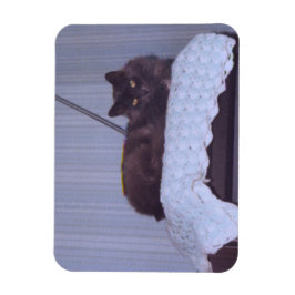 Coola Nebelung Magnet