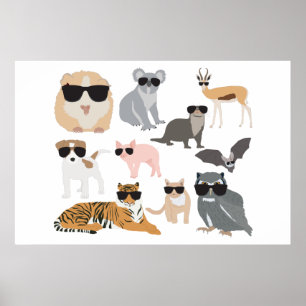 Coola och funktionella djur som bär solglasögon poster