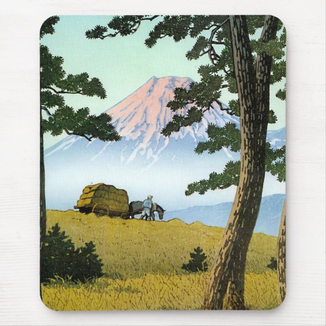 Coola oriental japansk landformscenery Mt. Fuji Musmatta (Framsidan)