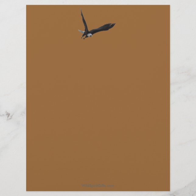 Coola Örn Wildlife Collection Brevhuvud (Framsida)