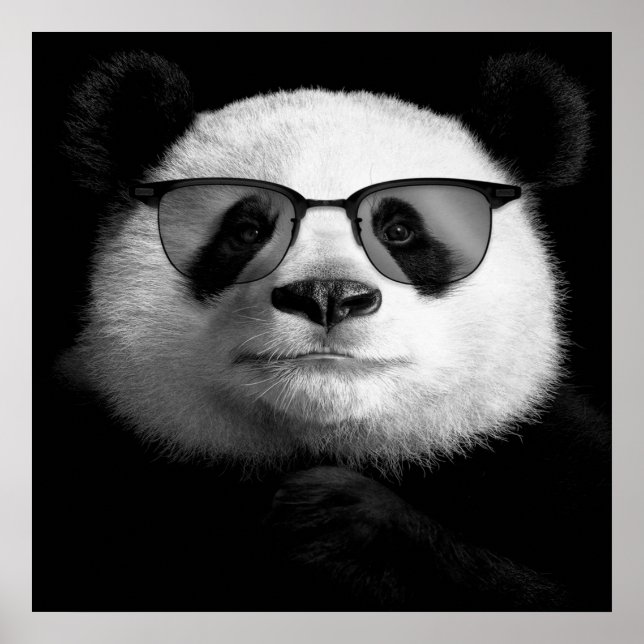 Coola Panda Poster | Cute Panda Älskare (Framsidan)
