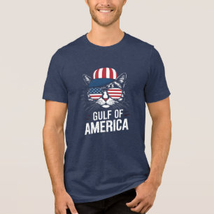 Coola Patriotic Cat T-Shirt USA flagga Cap & Sungl