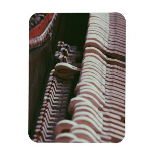 Coola Piano Artwork Magnet