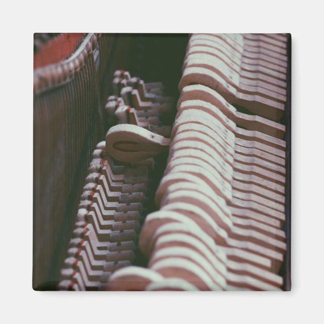 Coola Piano Artwork Magnet (Framsidan)