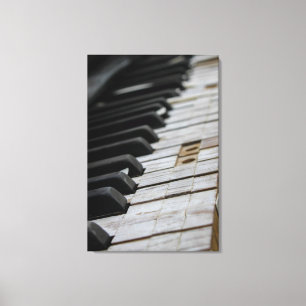 Coola Piano Canvastryck