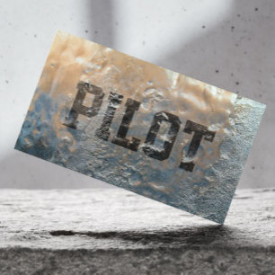 Coola pilot- fryst is/flygarevisitkort visitkort