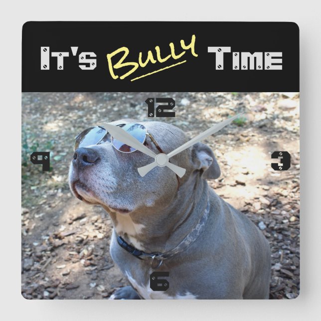 Coola Pitbull Bully Time Wall Clock Fyrkantig Klocka (Framsida)