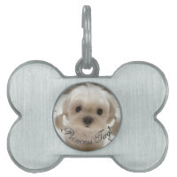 Coola Princess Märkre Hund Framed Pet Tag