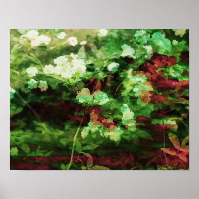 Coola röd grönt blommart mönster. Naturvård Poster (Framsidan)