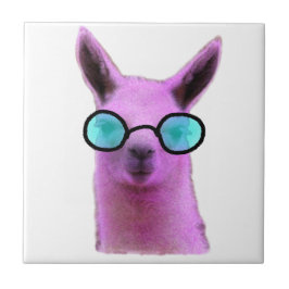 Coola Rosa Llama! Kakelplatta