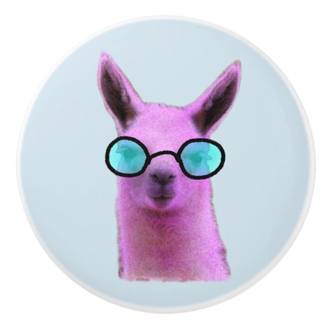 Coola Rosa Llama! Knopp (Framsidan)