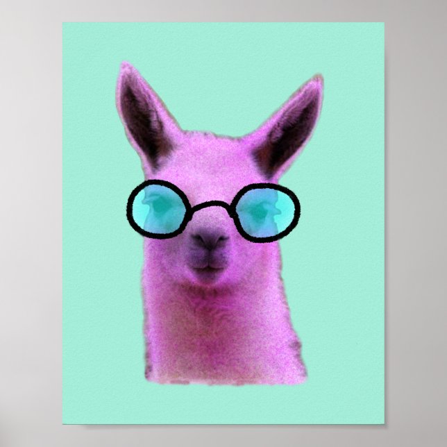 Coola Rosa Llama Poster (Framsidan)