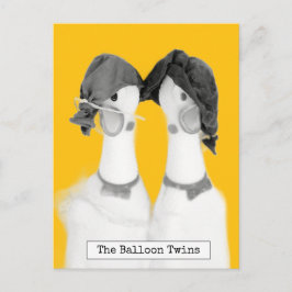 Coola Rubber Chickens vykort