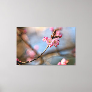 Coola Sakura-blommor mot den gråa bakgrunden Canvastryck