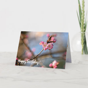 Coola Sakura Flowers mot Gråttets bakgrund Kort