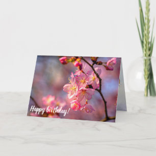 Coola Sakura Flowers på en körsbär Träd i Garden Kort