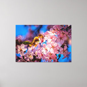 Coola Sakura Garland Canvastryck
