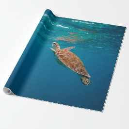 Coola Sea Animals Presentpapper
