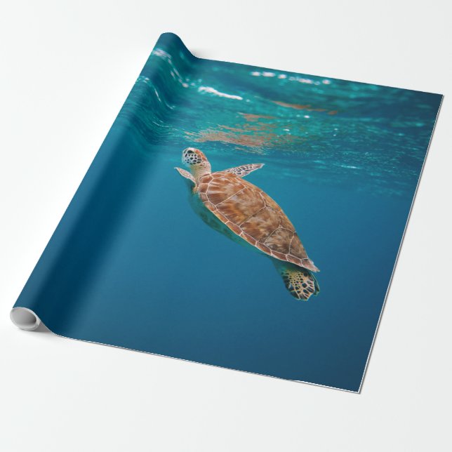 Coola Sea Animals Presentpapper (Utrullad)