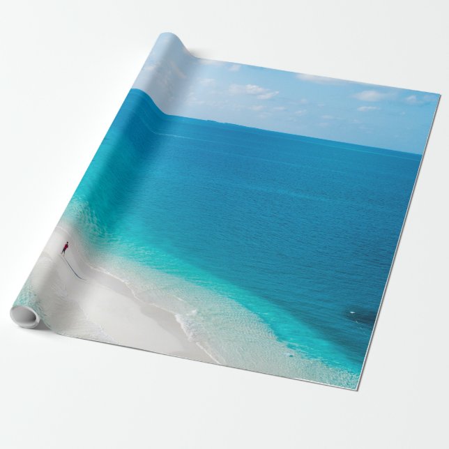Coola Sea Animals Presentpapper (Utrullad)