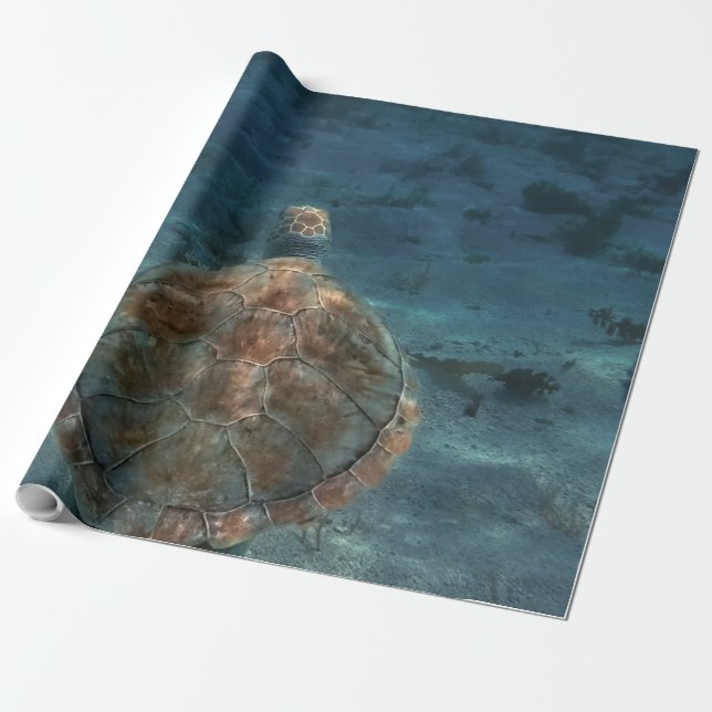 Coola Sea Creates Presentpapper (Utrullad)