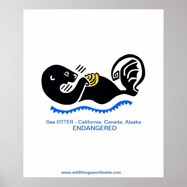 Coola Sea OTTER-Endangångna djur - Poster (Framsidan)