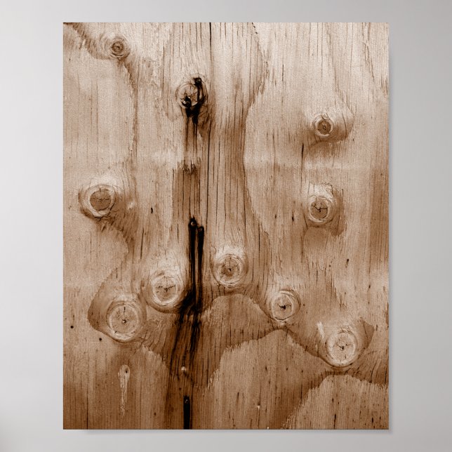 Coola Sepia Wood Grain Knot Struktur Poster (Framsidan)