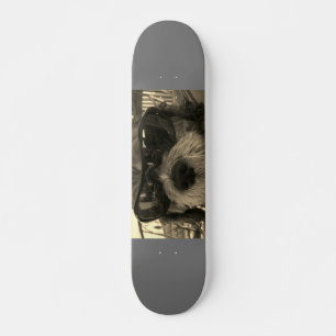 Coola Shih Tzu Hund Mini Skateboard Bräda 18,5 Cm