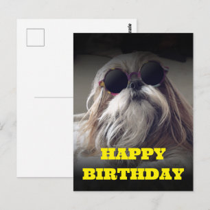 Coola Shih Tzu långa hår vintage Foto Födelsedag Vykort