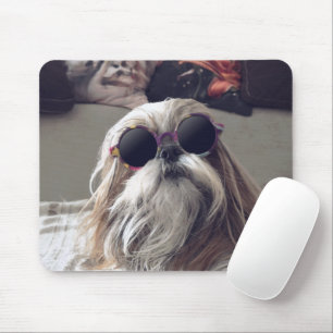 Coola Shih Tzu Long hair vintage Sunglasses Photo Musmatta