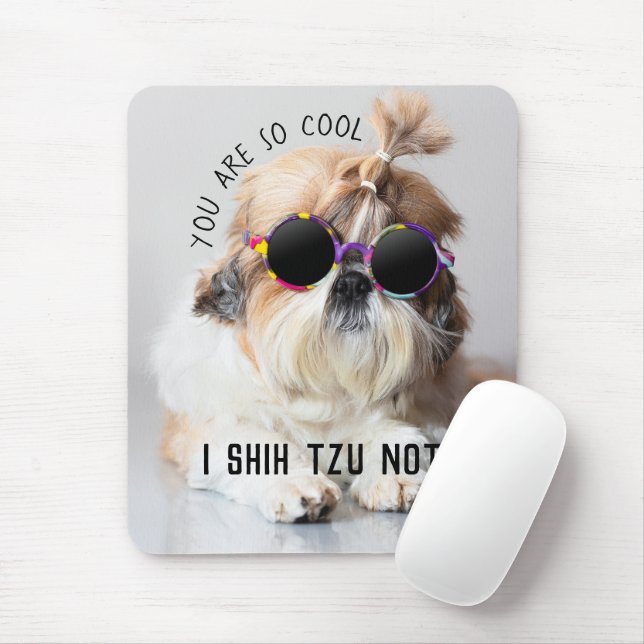 Coola Shih Tzu roligt ej söta solglasögon Foto Musmatta (Med mus)