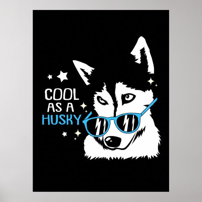 Coola som en Husky-Hund Poster (Framsidan)