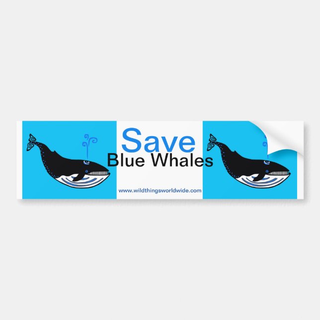Coola Spara Blue WHALES- Wildlife warrior - Oceans Bildekal (Framsidan)