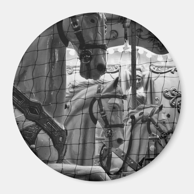 Coola, stads- och modernt karusellfoto av hästar magnet (Framsidan)