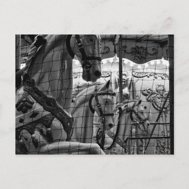 Coola, stads- och modernt karusellfoto av hästar vykort (Framsida)