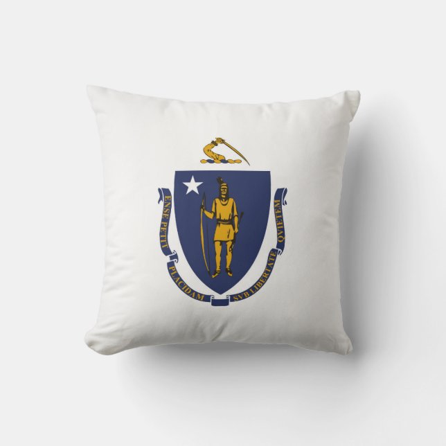 Coola State of Massachusetts Flagga Kudde (Framsida)