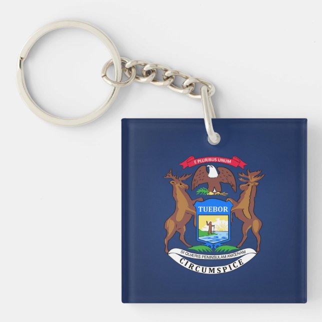 Coola staten Michigan Flagga (Framsidan)
