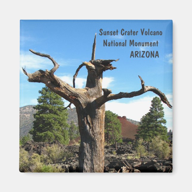 Coola Sunset Crater Volcano Magnet! Magnet (Framsidan)