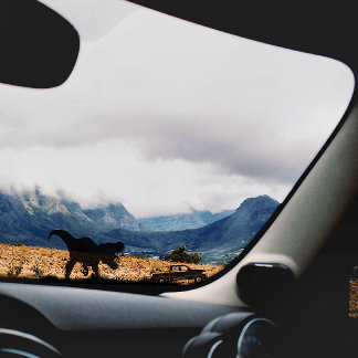 Coola T-rex-dosering för fönstret Bilar Lastbil Klistermärken