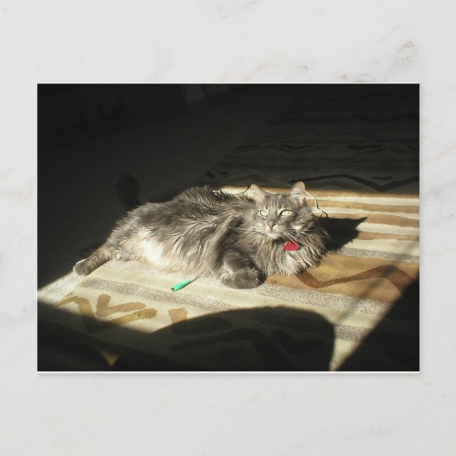 Coola - takregel vykort (Framsida)