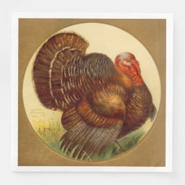 coola Thanksgiving Pilgrim Helgdag vintage Pappersservett