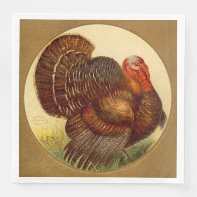 coola Thanksgiving Pilgrim Helgdag vintage Pappersservett (Framsida)