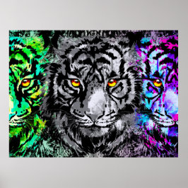 Coola Tiger Artwork - Wildlife Big Cats - Tiger Poster