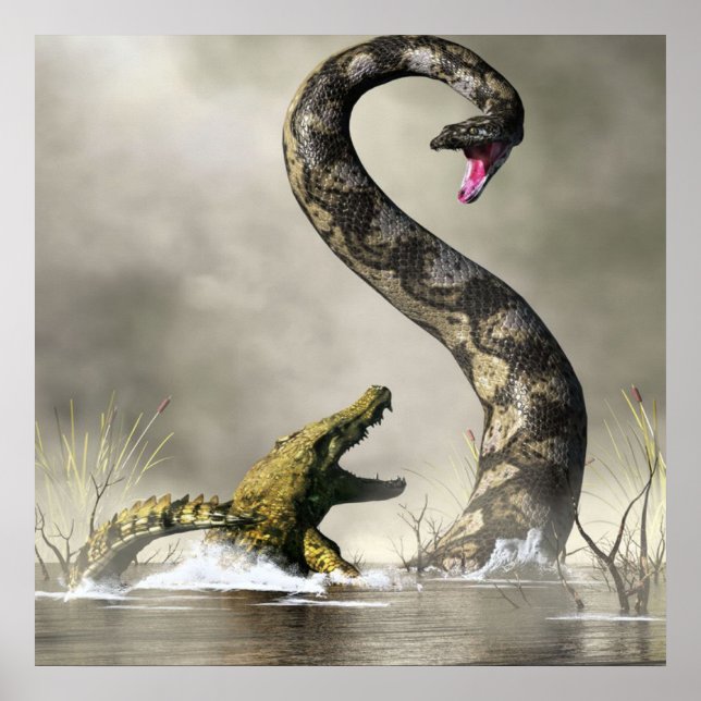 Coola Titanoboa Poster (Framsidan)