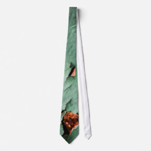 Coola turkos brun rostbildning metall slips