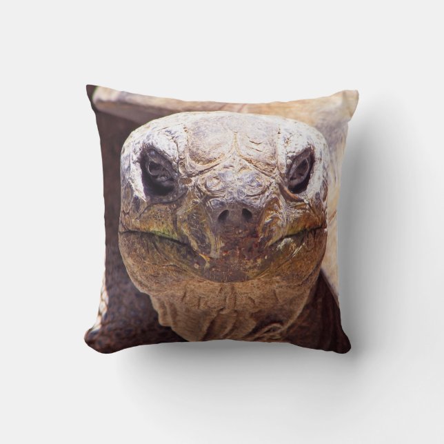 Coola Turtle Pillow! Kudde (Framsida)