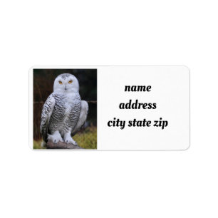 **COOLA UGGLA** ADRESSETIKETTER