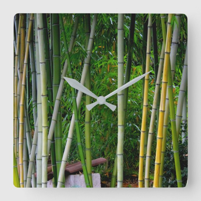 Coola Vacker Bamboo Grove Grönt Gult och Grått Fyrkantig Klocka (Framsida)