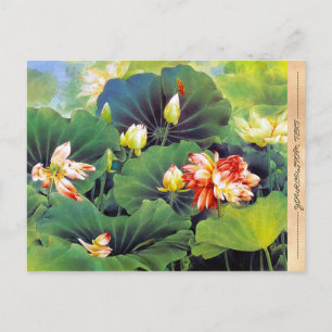 Coola vacker chinese lotus grönt löv art vykort